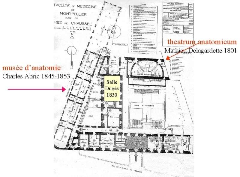 21 bustes. Plan de l'Université.