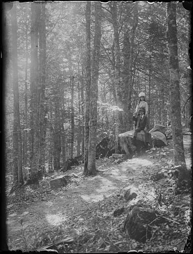 Forêt du massif vosgien : homme et jeune fille posant sur des rochers