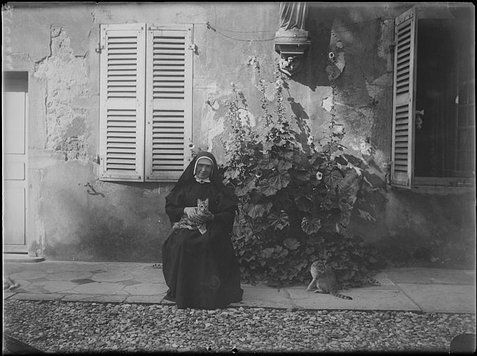 Jardin du cloître : religieuse assise un chat sur les genoux, un autre à ses pieds, devant un massif de roses trémières