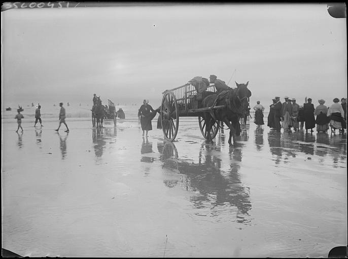 Déchargement des voiliers de pêche à marée basse : attelages et femmes, cheval de trait (boulonnais) attelé à une charrette ramenant le poisson