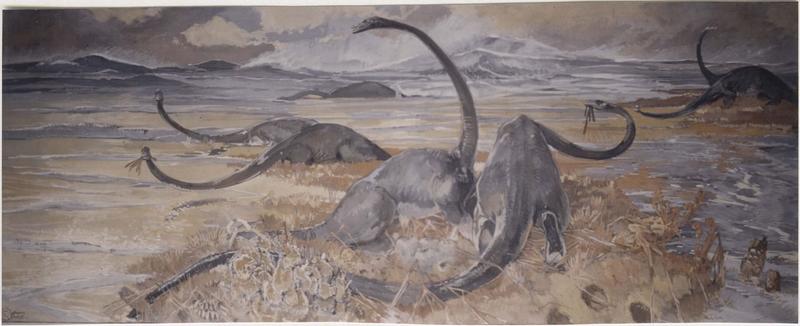 tableau : dinosaures, vue générale