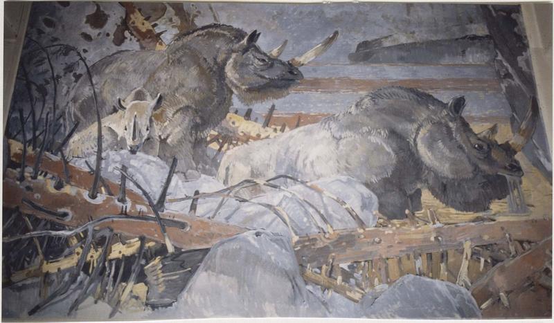 tableau : Rhinocéros, vue générale