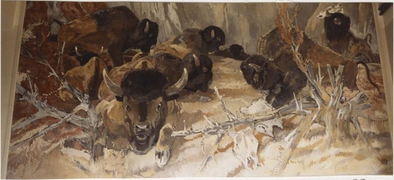 tableau : Bisons, vue générale