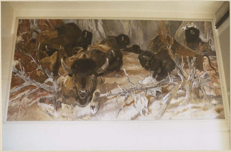 tableau : bisons, vue générale