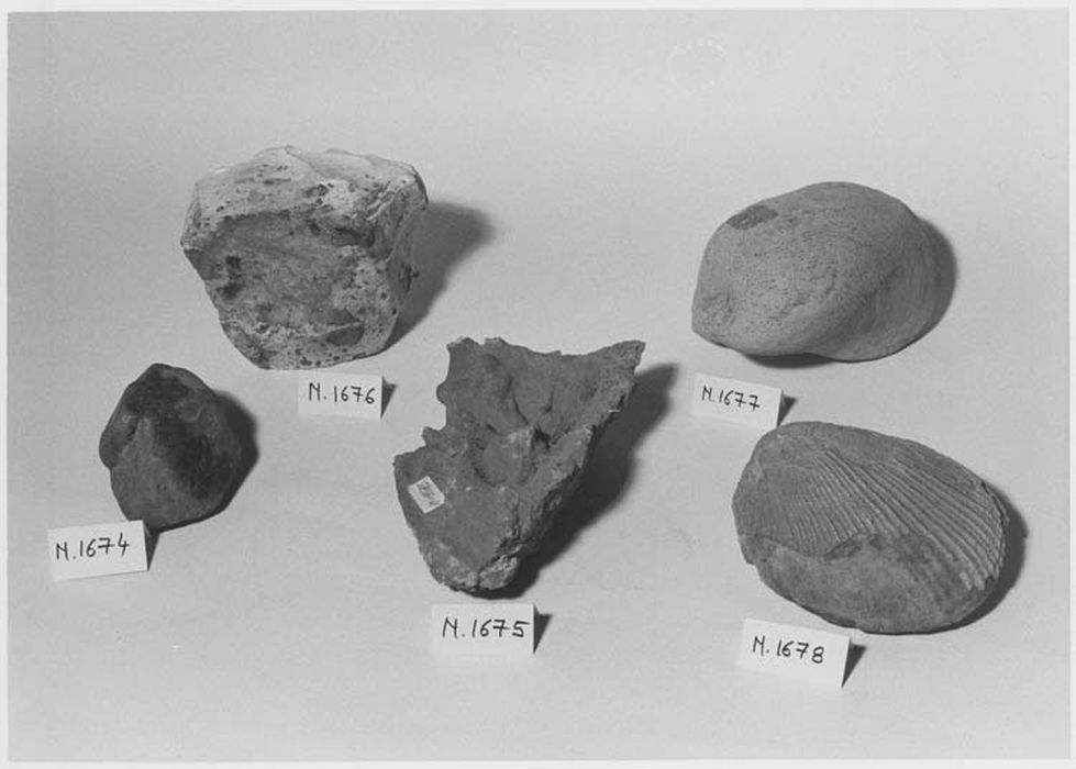 Mineraux, fossiles