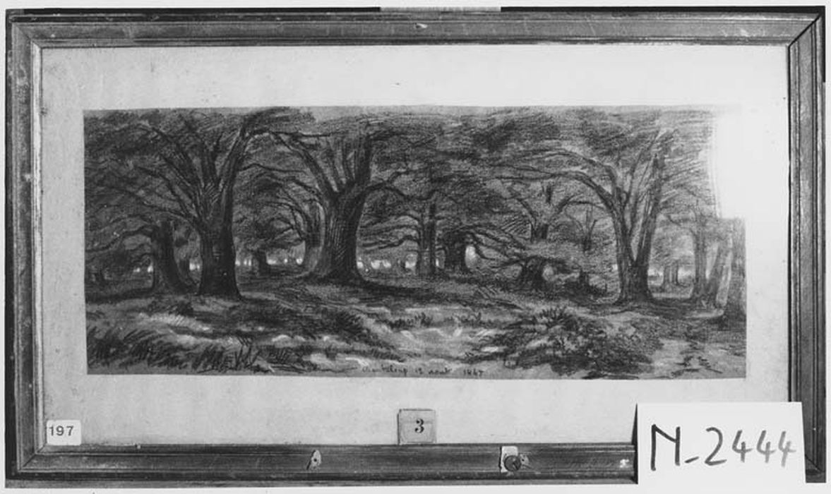 Dessin : Bois de Chanteloup