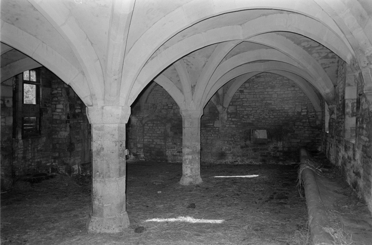 Bâtiment conventuel : voûte du cellier