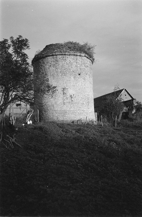 Colombier : vue d’ensemble