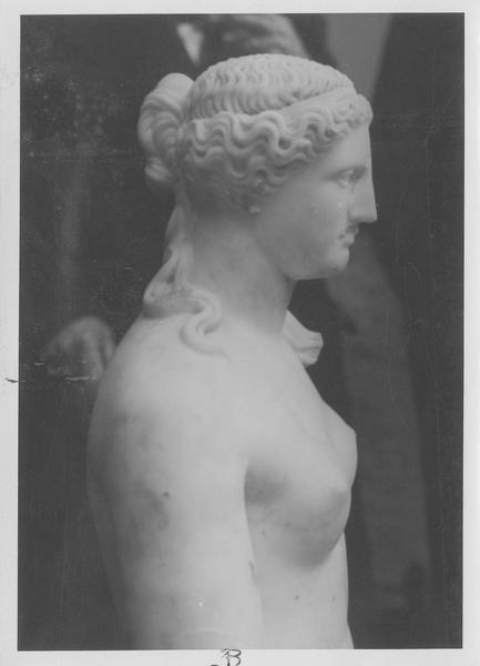 statue : Vénus dite « Vénus aux navets », vue partielle