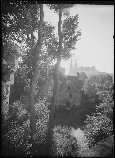 Vue prise entre les arbres