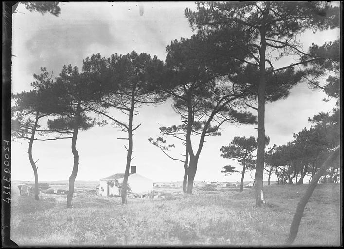 Forêt d'Olonne, les granges