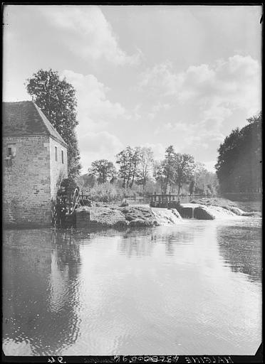 Reflet dans l'eau
