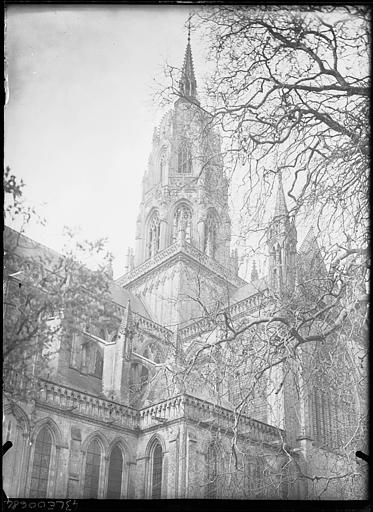 Arbre et Tour centrale