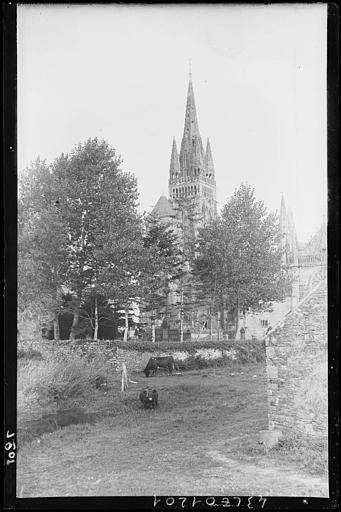 Vue d'ensemble avec arbres