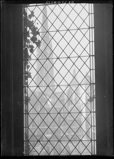 Clocher de la cathédrale à travers une grille avec branche à gauche