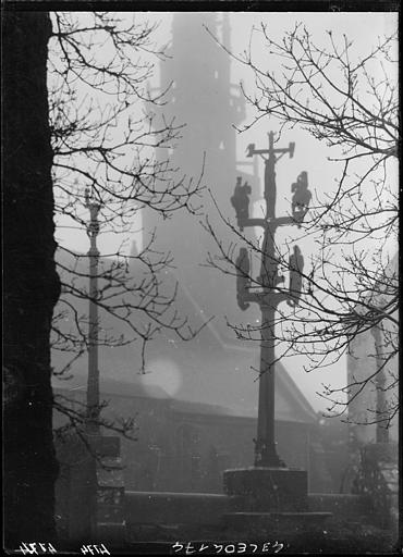 Arbres et clocher, brume