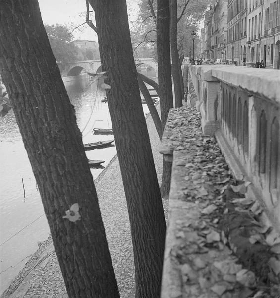 [Les feuilles tombent des arbres sur le quai, où des barques sont amarrées]