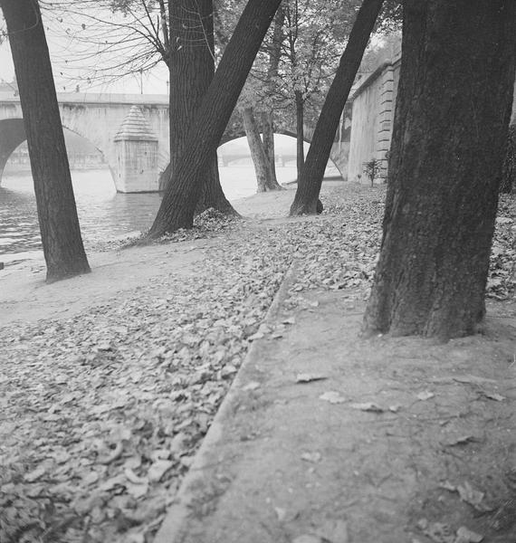 [Les feuilles tombent des arbres sur le quai, au bord du Pont-Royal]