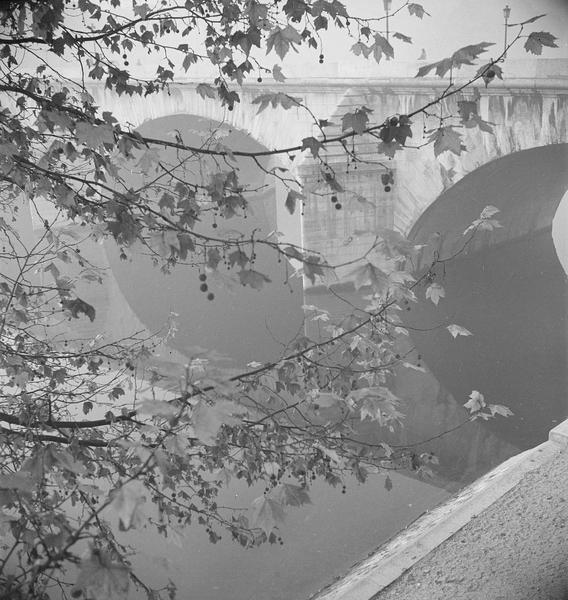 [Le Pont-Royal derrière des branches d'arbres]