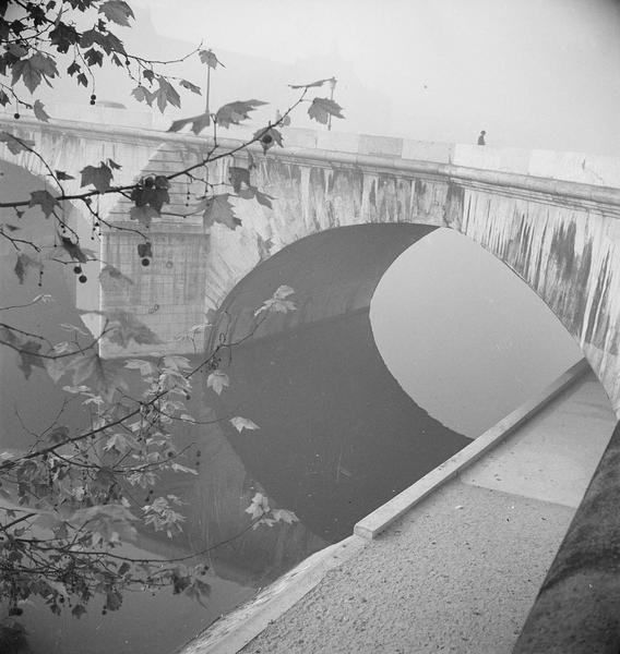 [Le Pont-Royal derrière des branches d'arbres]