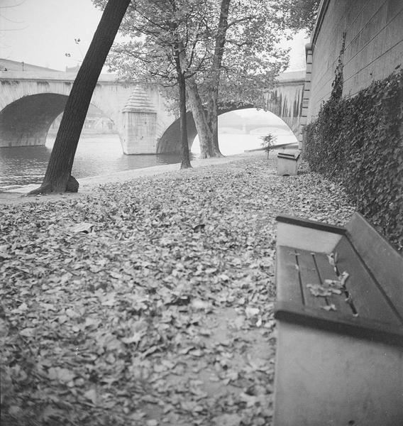 [A l'automne, le quai passant sous le Pont-Royal est recouvert de feuilles mortes]