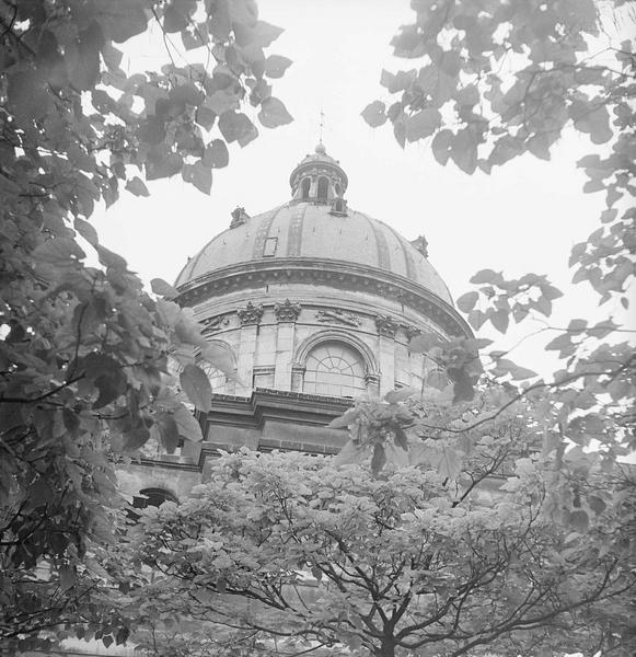 [Le dôme du palais de l'Institut derrière des branches d'arbres]