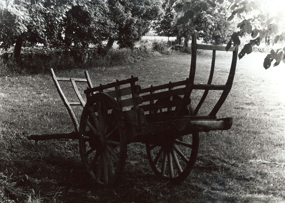 voiture utilitaire à énergie animale (char) - © Ministère de la Culture (France), Médiathèque du patrimoine et de la photographie, diffusion RMN-GP