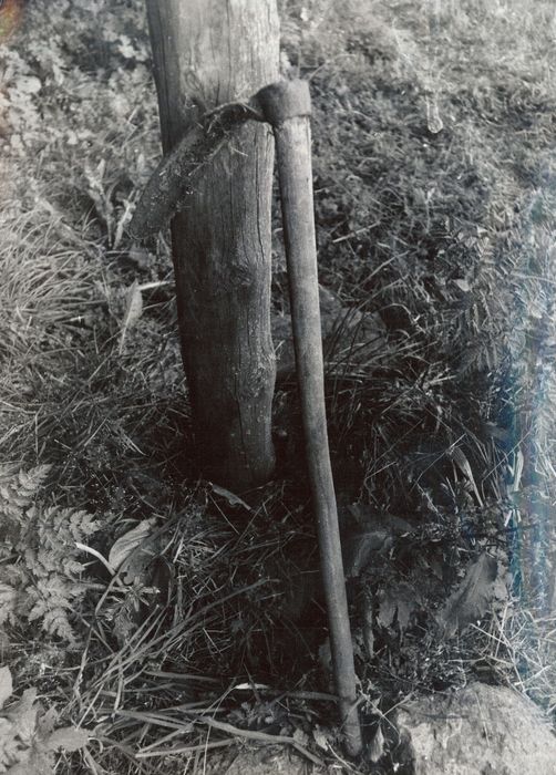 pic pour déterrer les pommes deterre - © Ministère de la Culture (France), Médiathèque du patrimoine et de la photographie, diffusion RMN-GP