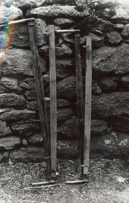 scies (passe-partout) - © Ministère de la Culture (France), Médiathèque du patrimoine et de la photographie, diffusion RMN-GP