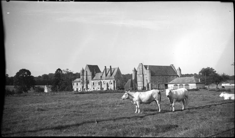 Vue d'ensemble depuis le pré voisin ; vaches