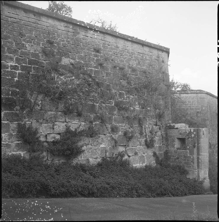 Brèche H ; pan de mur envahi par la végétation