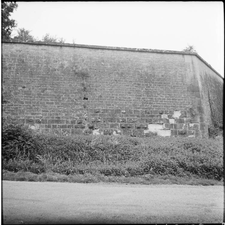 Pan de mur dégradé ; fissure