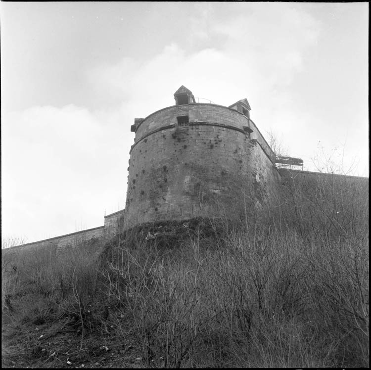 Vue en contre-plongée