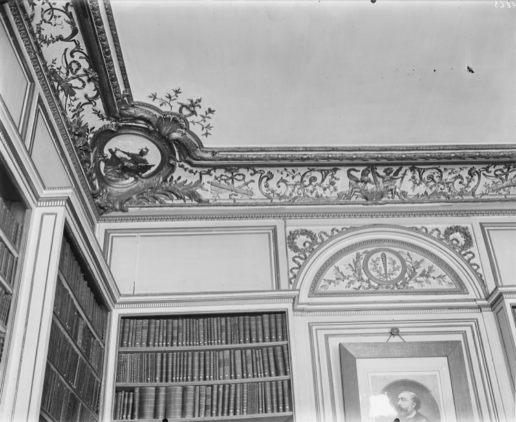 Bibliothèque : corniche et angle du plafond