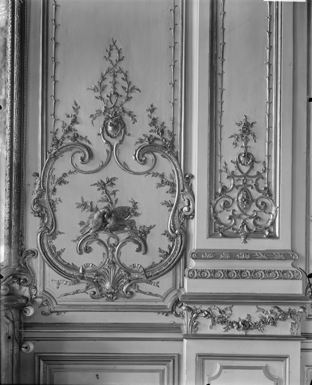 Grand salon de réception, partie basse d'un panneau de boiseries : couple d'oiseaux et rinceaux