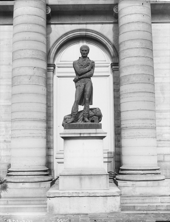 Statue de Xavier Bichat, devant le péristyle sur cour de la faculté de Médecine