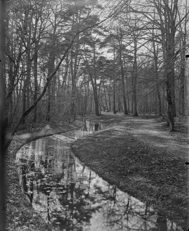 Parc : la Rivière Anglaise