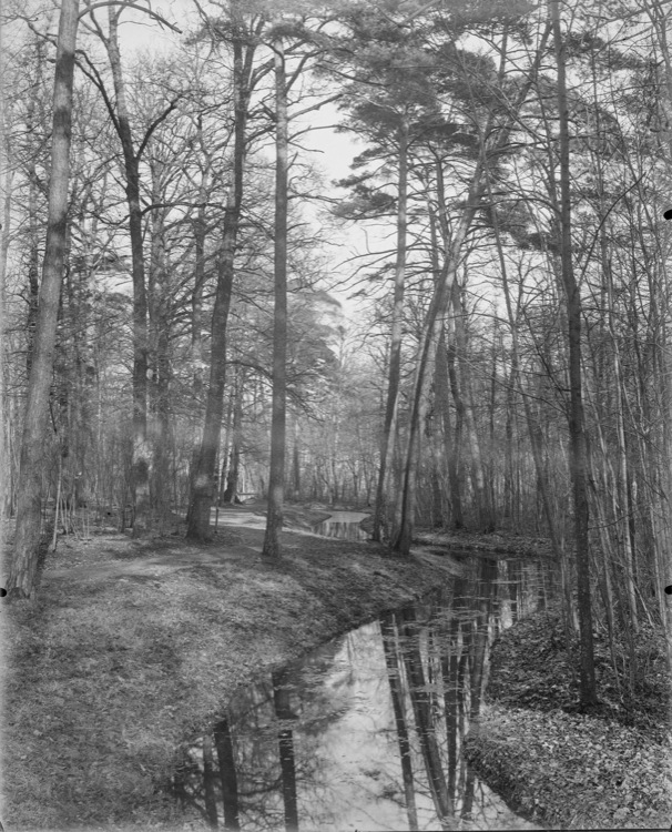 Parc : la Rivière Anglaise