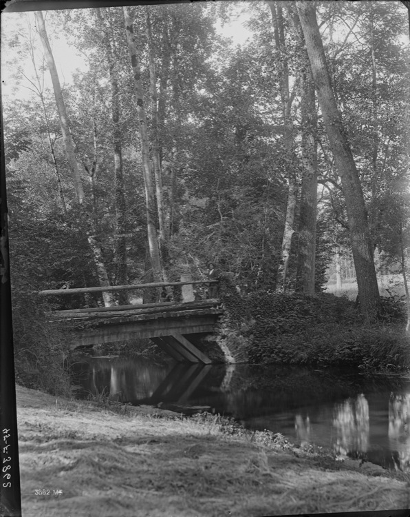 Pont de bois