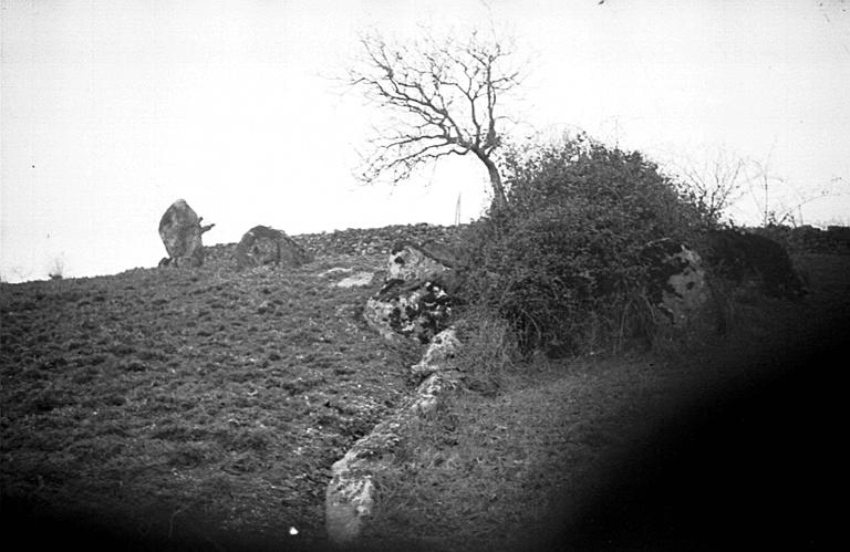 Extérieur : paysage
