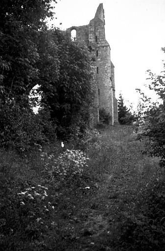 Extérieur : vue éloignée de l'édifice en ruine