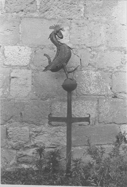 coq, vue générale