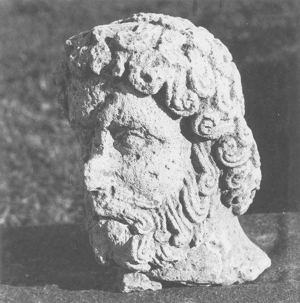 Statue (fragment) : tête d'homme, vue générale