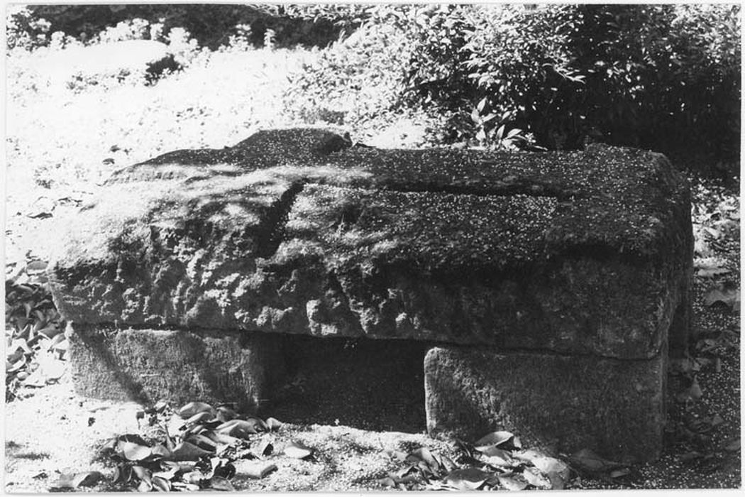 Sarcophage (couvercle)