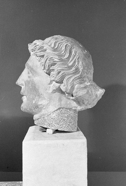 Statue en pierre de Courville, fragment : tête d'homme, profil gauche