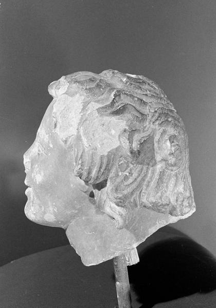 Statue en pierre de Courville, fragment : tête d'ange, profil gauche