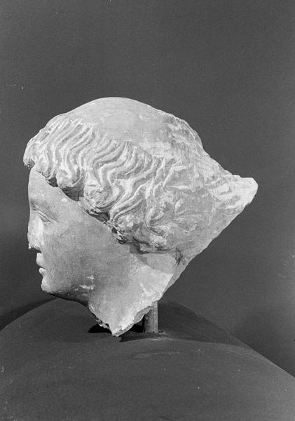 Statue en pierre de Courville, fragment : tête de jeune homme avec tonsure, profil gauche