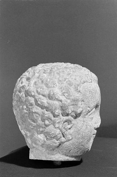 Statue en pierre de Saint-Maximin, fragment : tête d'enfant, profil droit