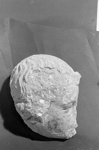 Statue en pierre de Romain, fragment : tête d'ange, profil droit