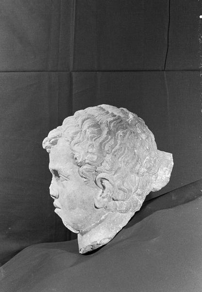 Statue en pierre de Courville, fragment : tête de jeune homme, profil gauche